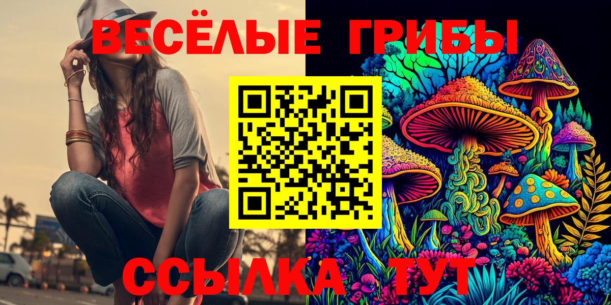 Избербаш  Псилоцибиновые грибы Psilocybe  Вход с VPN 